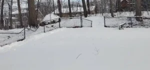 Chain Link Fence Replacement